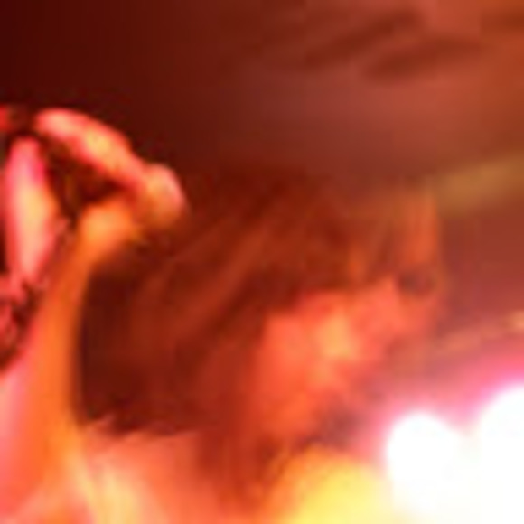 Meet your Posher, Chela - Picture 1 of 1